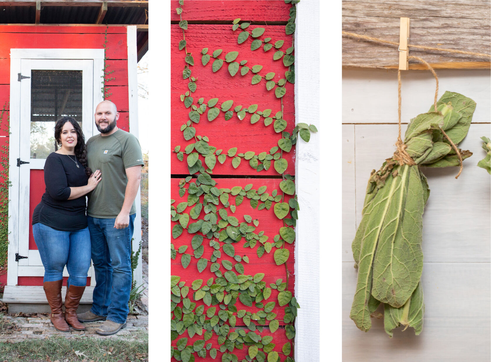 Henbit Homestead